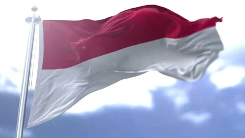 Monaco flag waving against the sky Stock Footage 170663267