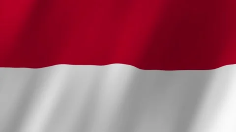 Monaco flag waving animation Stock Footage 221661715