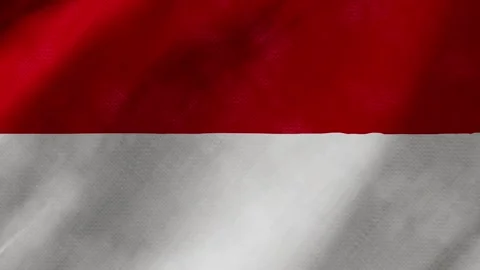 Monaco flag waving background with real fabric texture Stockbeeldmateriaal 291917200