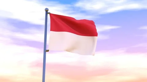 Monaco Flag waving in the high wind Stock Footage 154711435