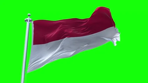 Monaco Flag Waving in Loopable and Textured green screen background Stock Footage 296876336