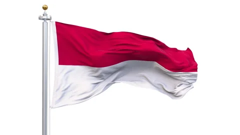 Monaco flag waving looping with transparent background. Stock Footage 324794514