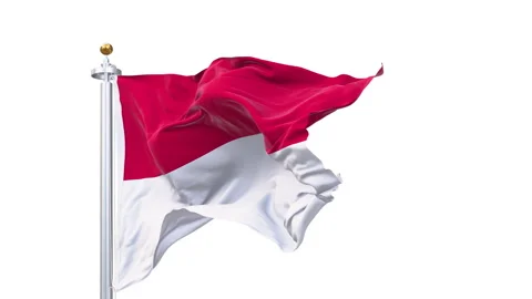 Monaco flag waving looping with transparent background. Video stock 324795100