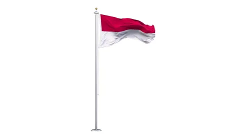 Monaco flag waving looping with transparent background. Video stock 324795164