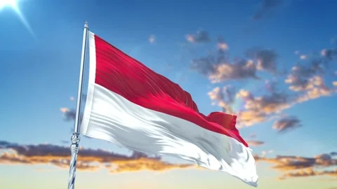 Monaco flag Waving Realistic With Sky Stock Footage 293004449