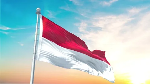 Monaco-Flag Waving Realistic With Sky Stock Footage 301439555