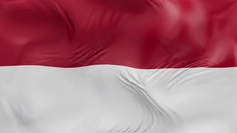Monaco flag waving Seamless silk flag 3d animation slow motion Looping Stock Footage 337949951