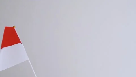 Monaco flag waving on white background. Monegasque flag in slow motion. Stock Footage 333610921