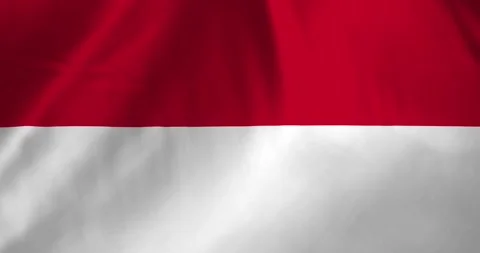 Monaco flag waving with the wind background loop video animation Stockbeeldmateriaal 327172967
