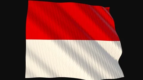 Monaco flag waving in the wind on a black background 스톡 동영상 343212870