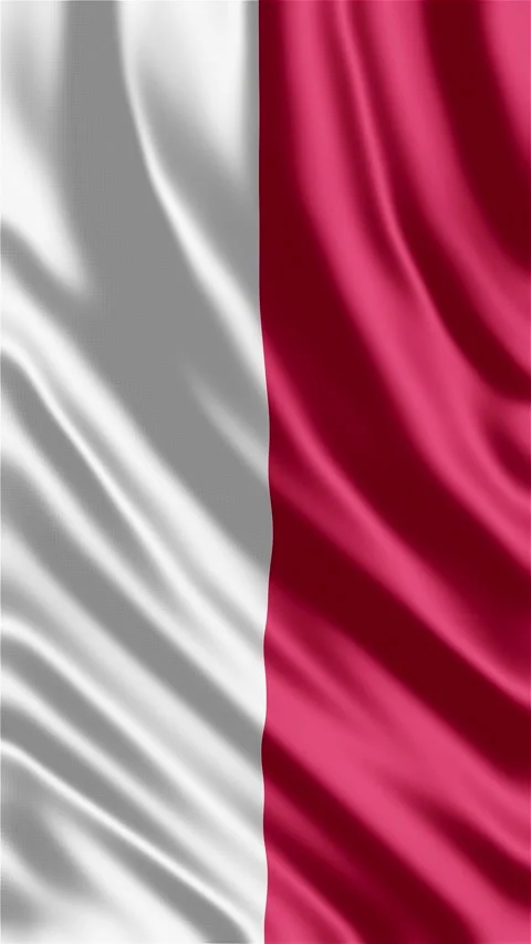 Monaco Flag Waving in the Wind  Elegant Principality National Symbol Stock Footage 336184783