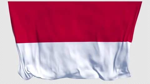 Monaco Flag Waving in the Wind  Elegant Principality National Symbol Stock Footage 336194200