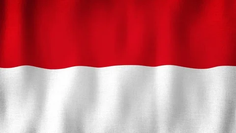 Monaco flag waving in the wind Stock-Footage 102455918