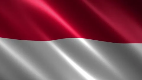 Monaco flag waving in the wind Stock Footage 348686957
