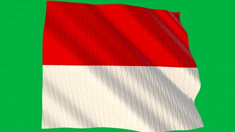Monaco flag waving in the wind on a green screen Stock-Footage 343132911
