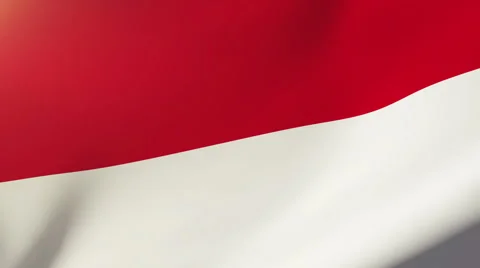 Monaco flag waving in the wind. Looping sun rises style.  Animation loop Stock Footage 47977832