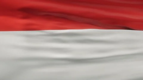 Monaco flag waving on wind seamles loop 3d animation. 4k resolution Stock Footage 133446226