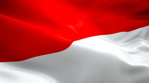 Monaco flag waving in wind video footage Full HD. Realistic Monaco Flag Stock Footage 106382201