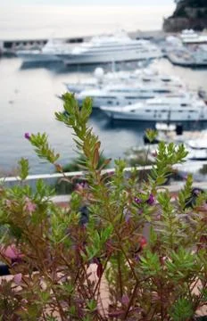 Monaco harbor Stock Photos