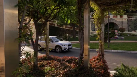 Monaco Park Area With Trees and Passing Cars 4K Video stock 331860924