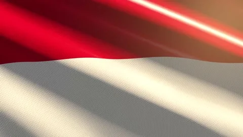 Monaco shiny flag - loop animation Stock Footage 205181335
