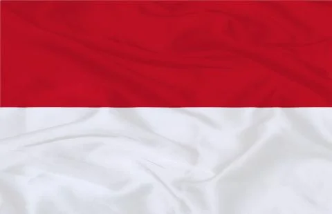 Monaco texture Flag 스톡 일러스트