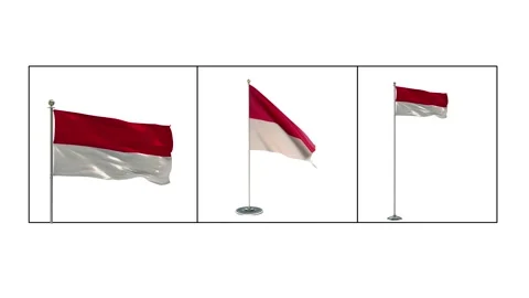 Monaco  Various Of  Flags Waving National Flag On Pole, Table Flag  Stock Footage 141818697