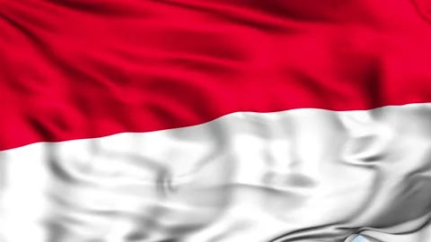 Monaco Waving Flag Background Stock Footage 204134540