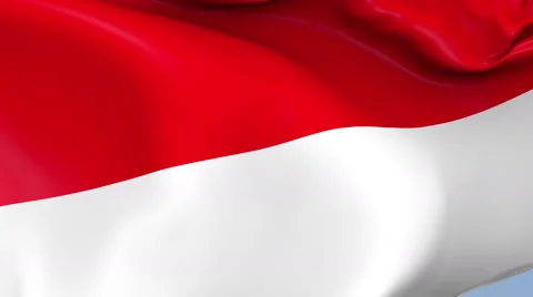 Monaco Waving Flag Background Loop Stock Footage 64248630