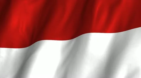 Monaco Waving Flag Stock Footage 12312187