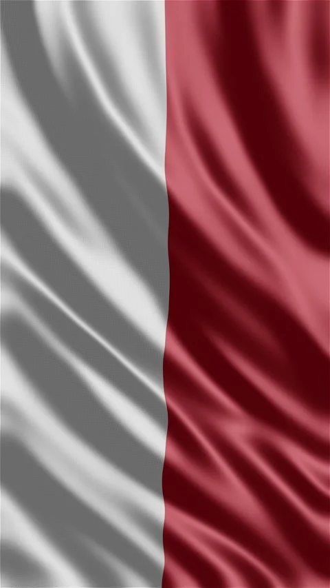 Monaco waving flag Stock-Footage 288004386