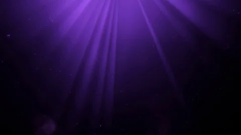 Monarch Beams Looping Animation Stock Footage 73373279