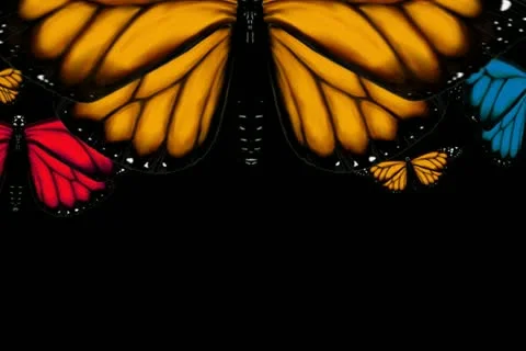 Monarch Butterflies Transition Stock Footage 10870593