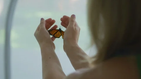 Monarch Butterfly caught in hands Video stock 112086346