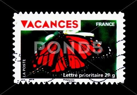 Monarch Butterfly (Danaus plexippus), Holidays serie, circa 2009 Stock Photos