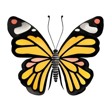 Monarch butterfly. Hand drawn vector illustration. Illustrazione stock