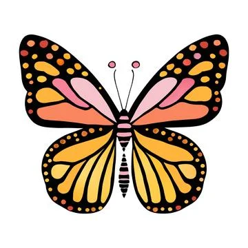 Monarch butterfly. Hand drawn vector illustration. Stock Illustration