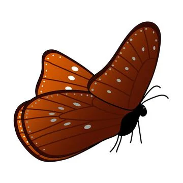 Monarch butterfly isolated on a white background. Side view. Brown wings Stock Illustration