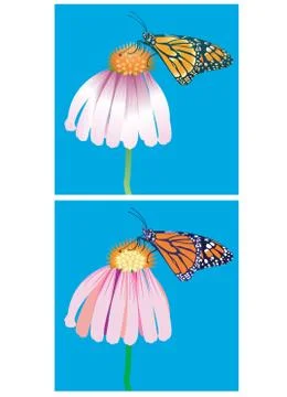 Monarch-butterfly set Illustrazione stock