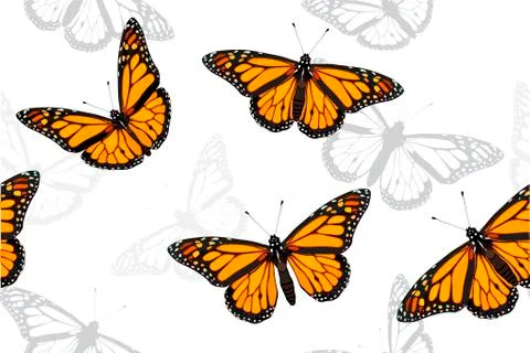 Monarch butterfly set seamless vector pattern illustration Stock Illustration