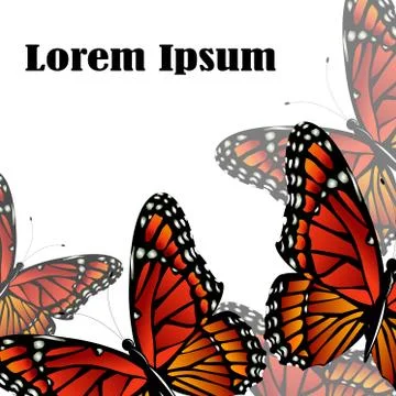 The Monarch butterfly  vector background Stock Illustration
