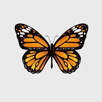 Monarch butterfly vector illustration Stock Illustration