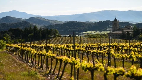 Monasterio de Santa Maria de Irache, vineyard Bodegas Irache, Navarra, Spain Stock Footage 79950784