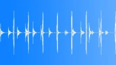 Monastery Bells Tibetan Prayer Sound Effect