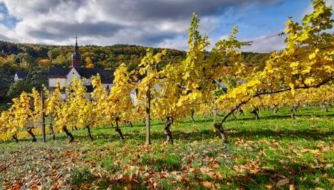 Monastery Ebersbach in autumn Stock Photos