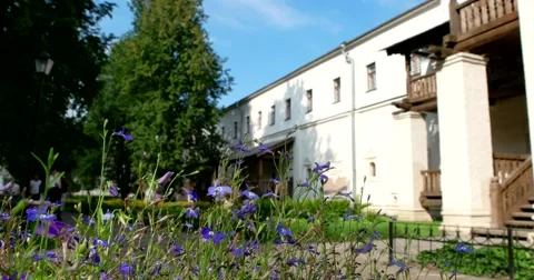 Monastery fraternal body, forget-me-nots in the garden. Stock Footage 68582641