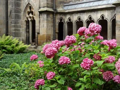 Monastery garden Stock Photos