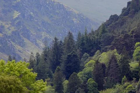 Monastery Glendalough Stock Photos