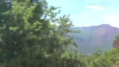 Monastery, road, trees, nature. from the bus Video stock 143067186