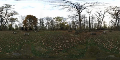 Monastery of Saint Disibodenberg Stock-Footage 88643472